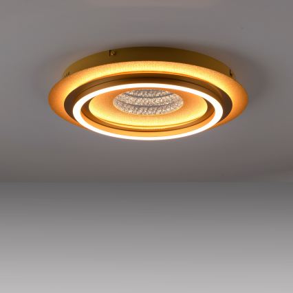 JUST LIGHT. 15089-60 - LED lubinis šviestuvas CICHIO LED/36W/230V, skersmuo 40 cm, aukso spalvos