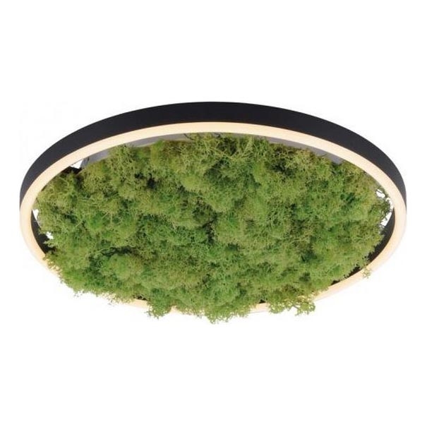 JUST LIGHT. 15391-66 - LED Pritemdomas lubinis šviestuvas ŽALIA RITU LED/20W/230V