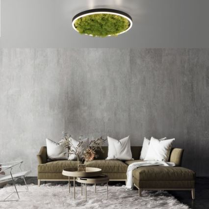 JUST LIGHT. 15391-66 - LED Pritemdomas lubinis šviestuvas ŽALIA RITU LED/20W/230V
