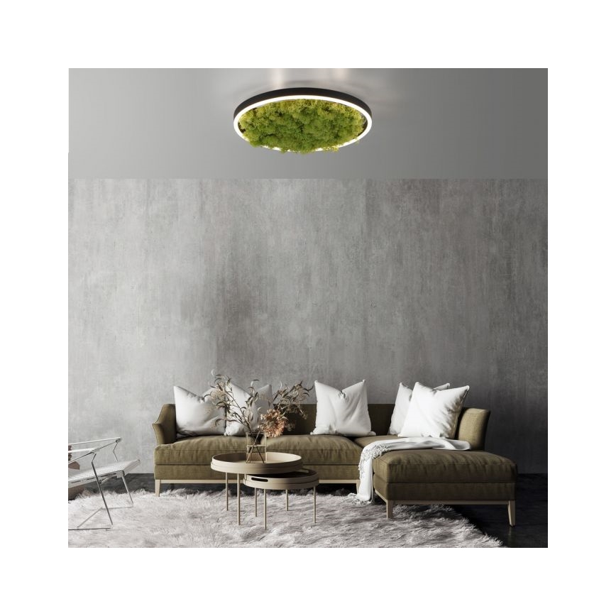 JUST LIGHT. 15391-66 - LED Pritemdomas lubinis šviestuvas ŽALIA RITU LED/20W/230V