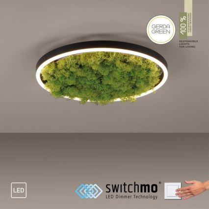 JUST LIGHT. 15391-66 - LED Pritemdomas lubinis šviestuvas ŽALIA RITU LED/20W/230V