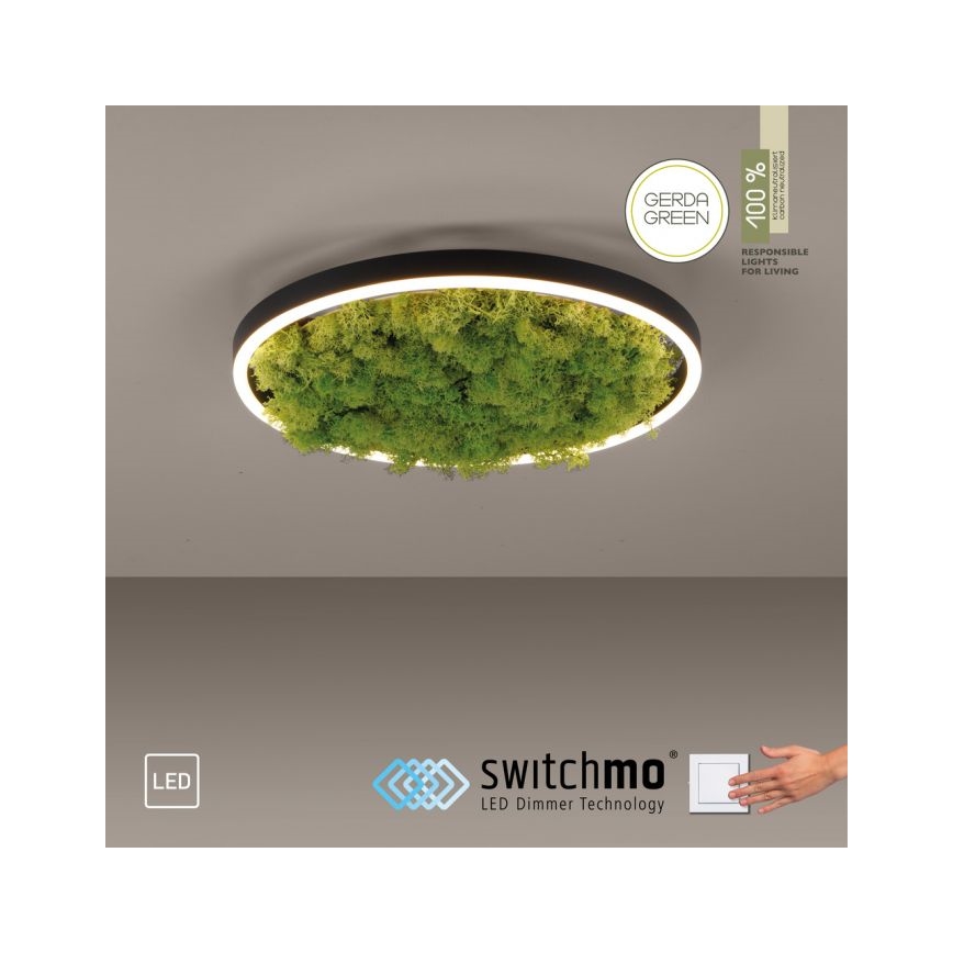 JUST LIGHT. 15391-66 - LED Pritemdomas lubinis šviestuvas ŽALIA RITU LED/20W/230V