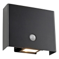 JUST LIGHT. 19471-18 - LED Lauko sieninis šviestuvas su jutikliu AMIN 2xLED/1,25W/3,7V 4400mAh IP44 juoda