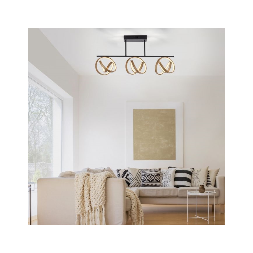 JUST LIGHT. 6245-18 - LED Pritemdomas tvirtinamas sietynas LOOP 3xLED/11W/230V 2700-5000K + nuotolinio valdymo pultas