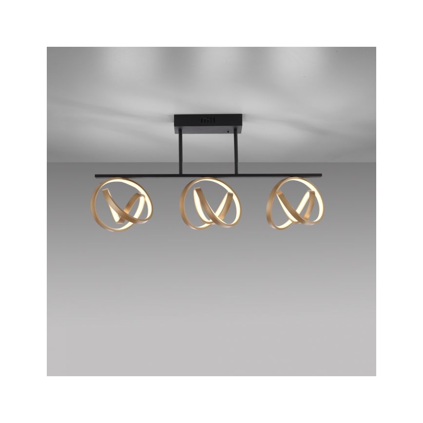 JUST LIGHT. 6245-18 - LED Pritemdomas tvirtinamas sietynas LOOP 3xLED/11W/230V 2700-5000K + nuotolinio valdymo pultas