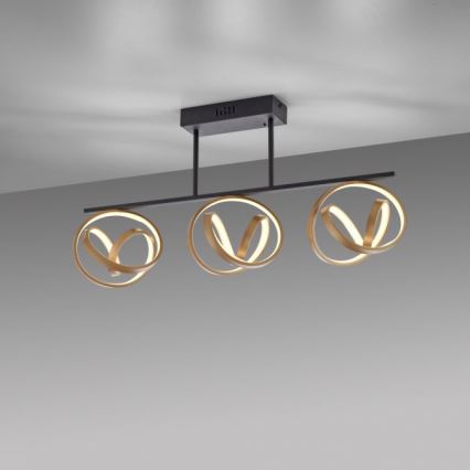 JUST LIGHT. 6245-18 - LED Pritemdomas tvirtinamas sietynas LOOP 3xLED/11W/230V 2700-5000K + nuotolinio valdymo pultas