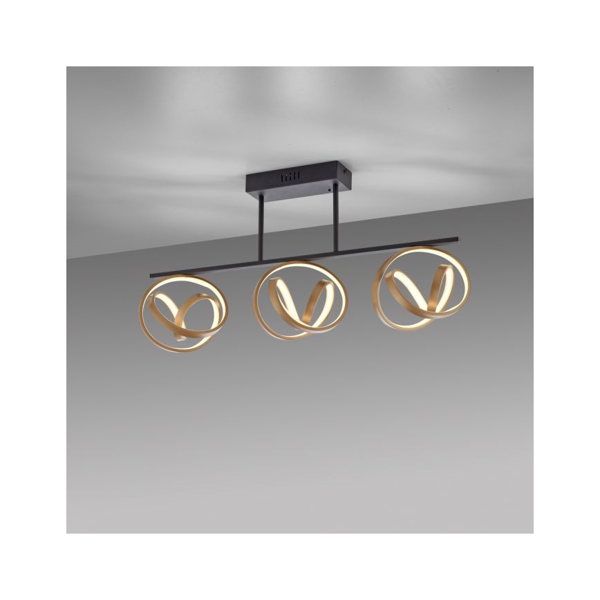 JUST LIGHT. 6245-18 - LED Pritemdomas tvirtinamas sietynas LOOP 3xLED/11W/230V 2700-5000K + nuotolinio valdymo pultas