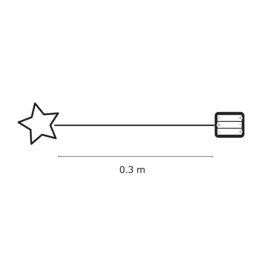 Kalėdinė dekoracija patalpoms IP20 STAR 30xLED/3W/4,5V