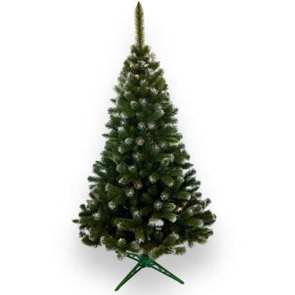 Kalėdinė eglutė 120 cm (eglė)
