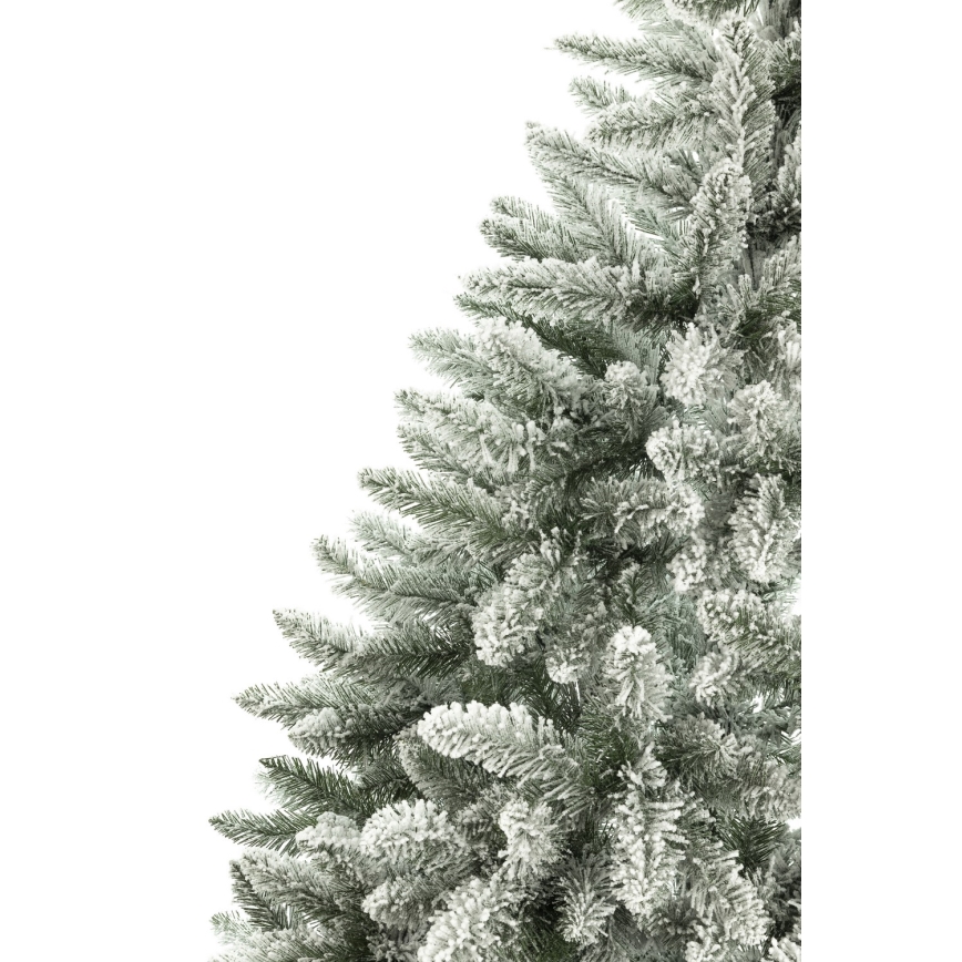 Kalėdinė eglutė 150 cm eglė