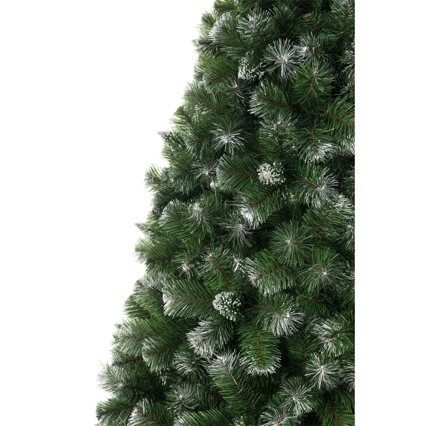 Kalėdinė eglutė 150 cm (pušis)