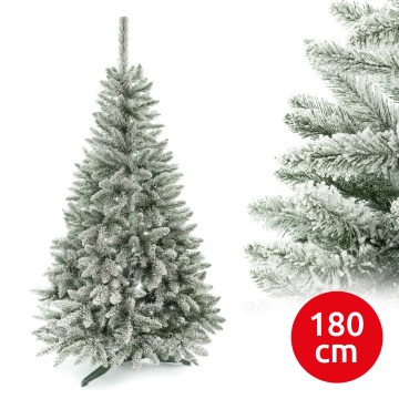 Kalėdinė eglutė 180 cm eglė