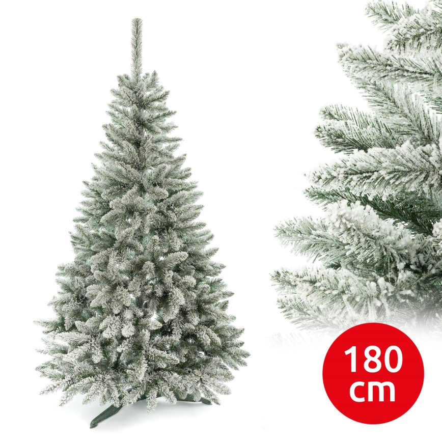 Kalėdinė eglutė 180 cm eglė