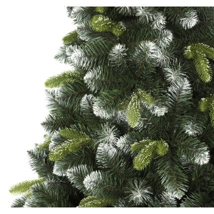 Kalėdinė eglutė 180 cm pušis