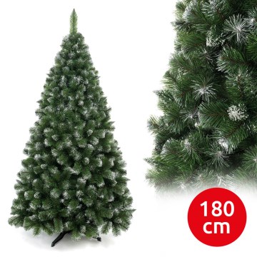 Kalėdinė eglutė 180 cm pušis