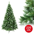 Kalėdinė eglutė 220 cm, eglė