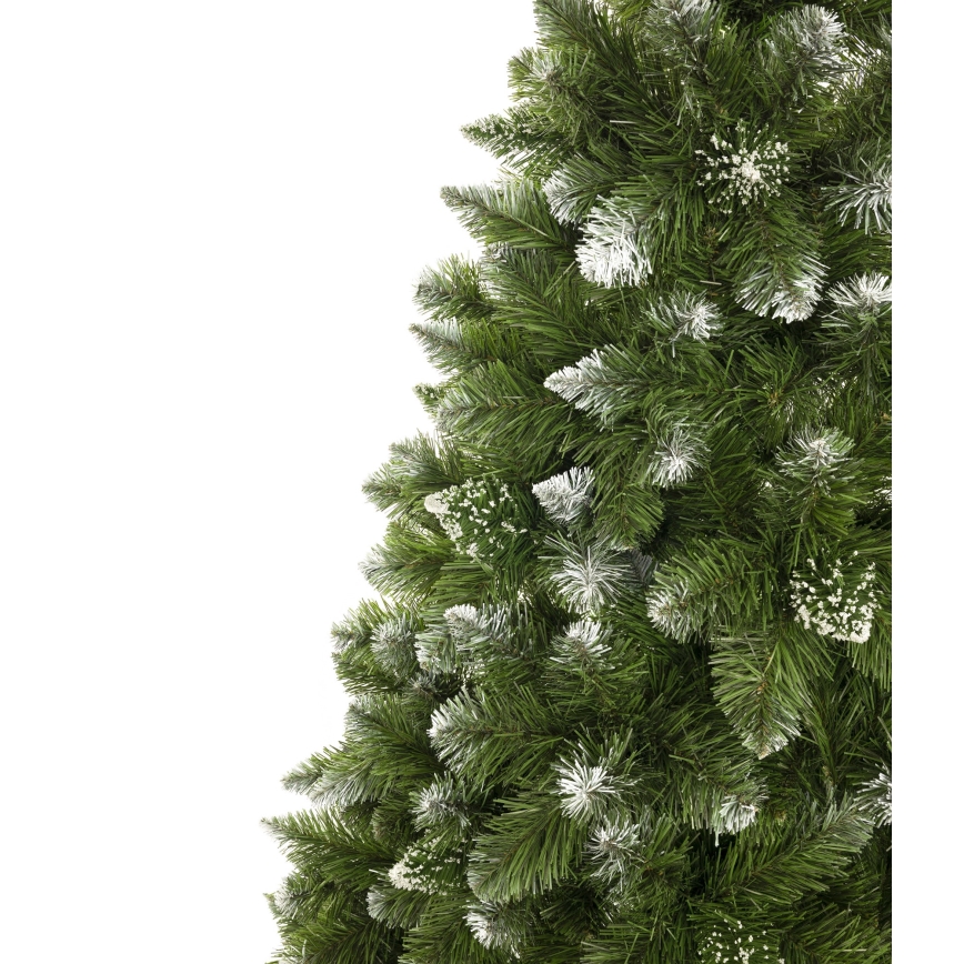 Kalėdinė eglutė 220 cm pušis