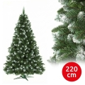 Kalėdinė eglutė 220 cm pušis