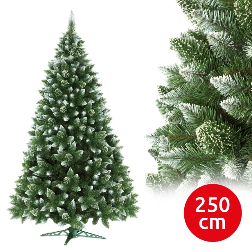 Kalėdinė eglutė 250 cm pušis
