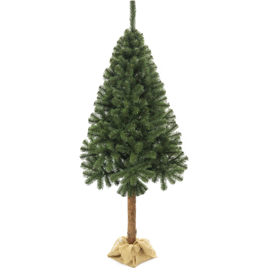 Kalėdinė eglutė su kamienu, 160 cm, eglė