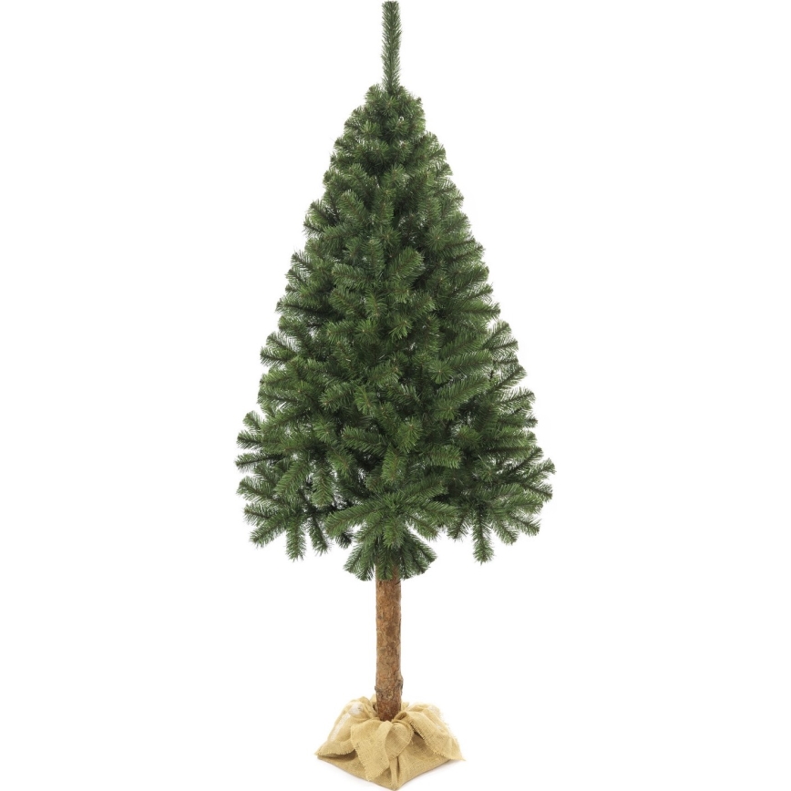 Kalėdinė eglutė su kamienu, 220 cm, eglė