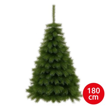 Kalėdinė eglutė MORINGA 180 cm pušis