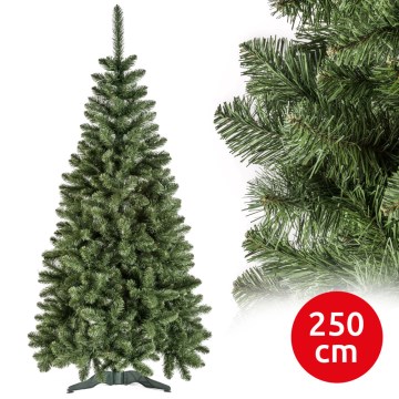 Kalėdinė eglutė POLA 250 cm, pušis