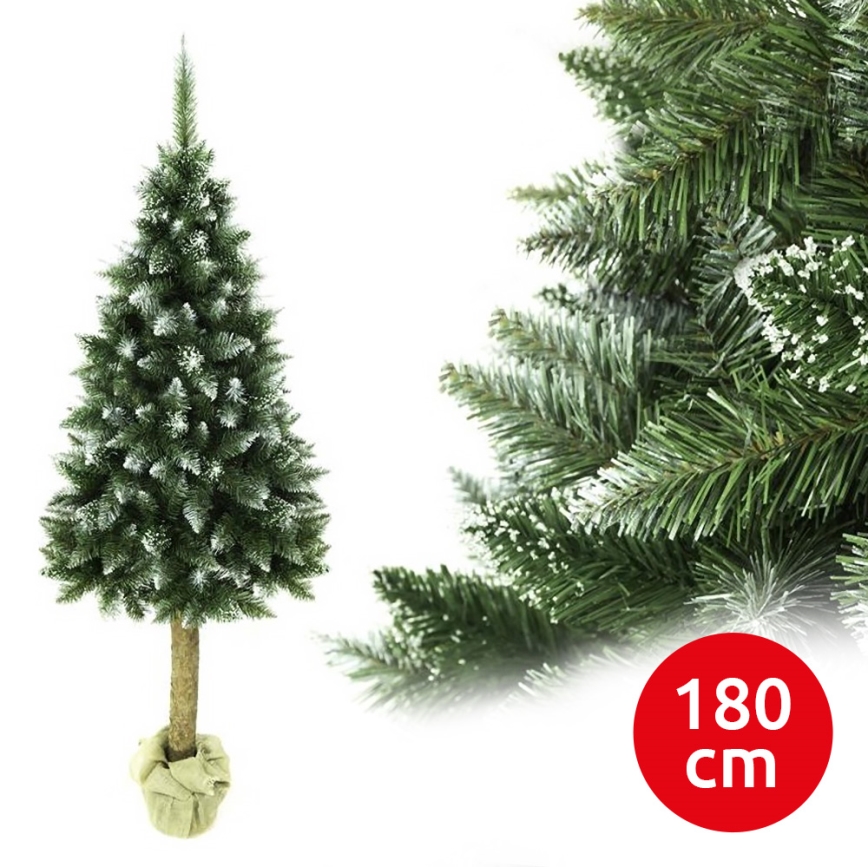 Kalėdinė eglutė su kamienu, 180 cm, eglė