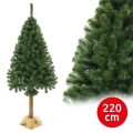 Kalėdinė eglutė su kamienu, 220 cm, eglė