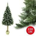 Kalėdinė eglutė su kamienu, 220 cm, eglė