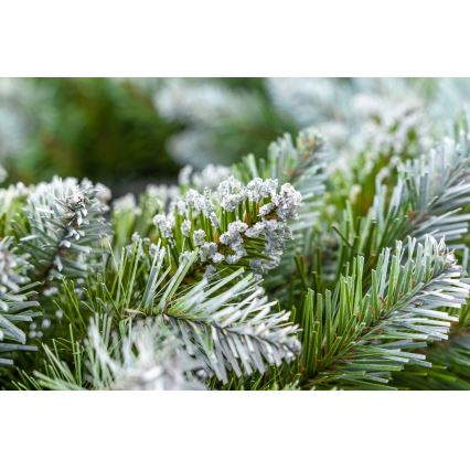 Kalėdinis vainikas, skersmuo 54 cm