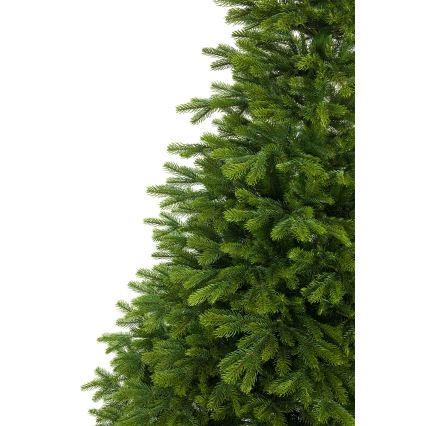 Kalėdų eglutė 220 cm eglė