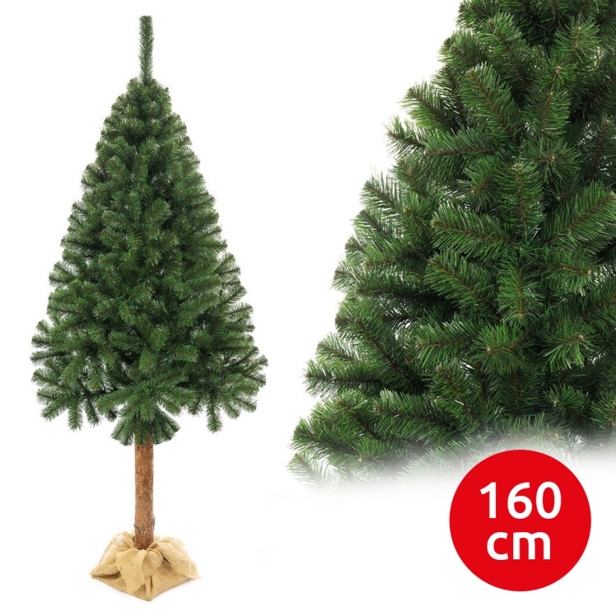 Kalėdų eglutė ant kamieno 160 cm kėnis