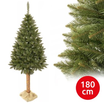 Kalėdų eglutė ant kamieno 180 cm eglė