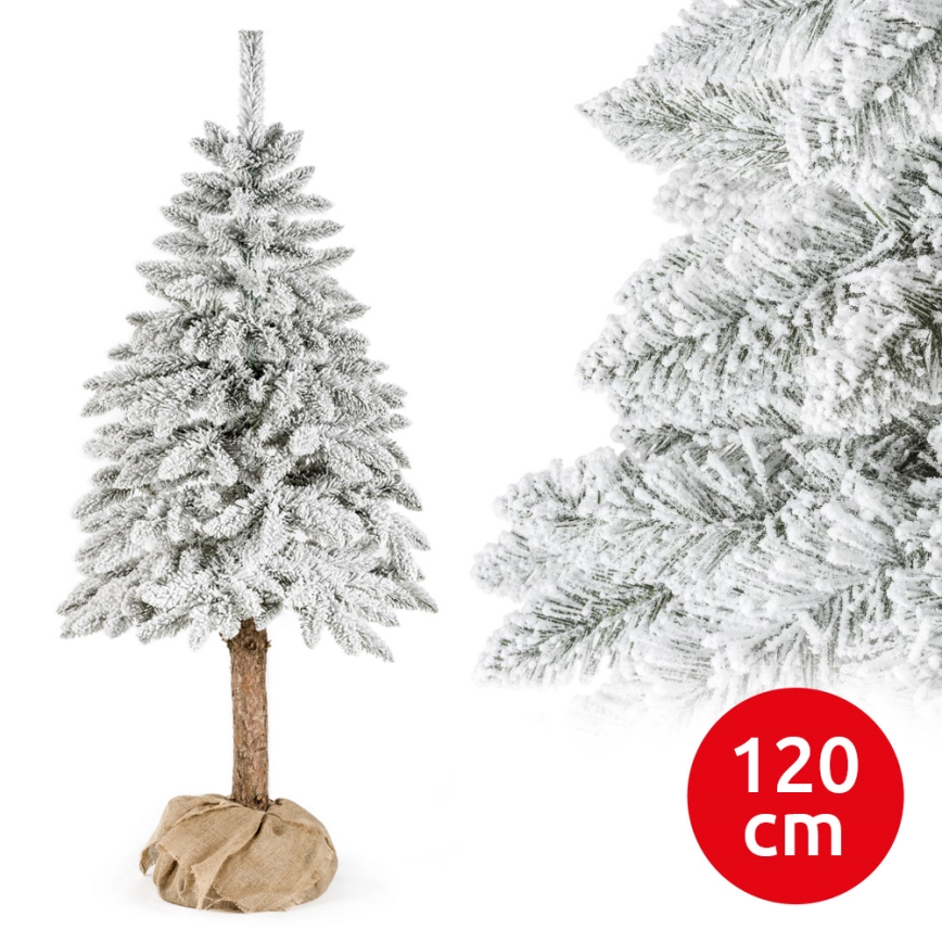 Kalėdų eglutė ant kamieno NATURAL WITH SNOW 120 cm eglė