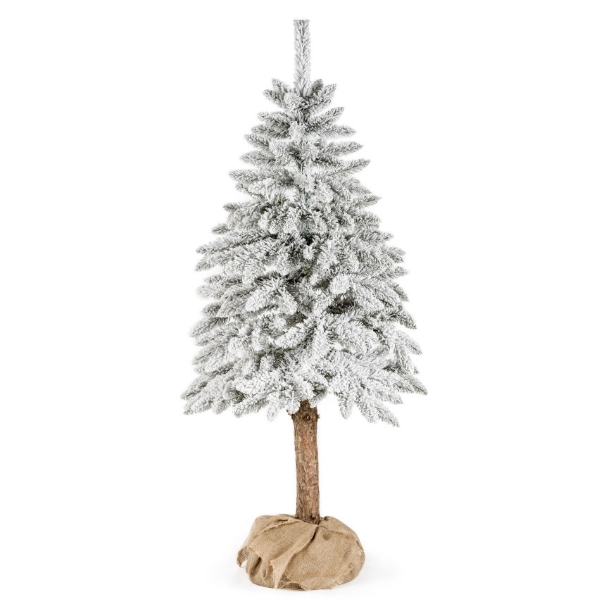 Kalėdų eglutė ant kamieno NATURAL WITH SNOW 120 cm eglė