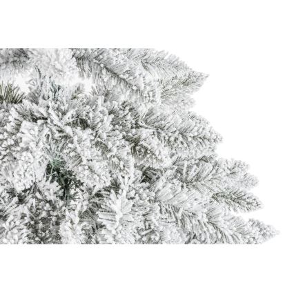 Kalėdų eglutė ant kamieno NATURAL WITH SNOW 120 cm eglė
