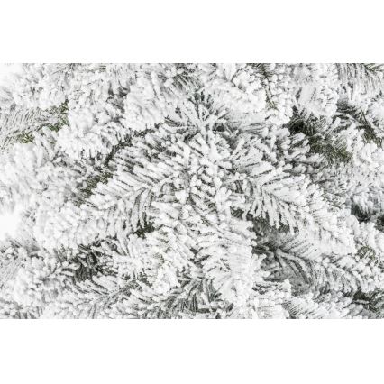 Kalėdų eglutė ant kamieno NATURAL WITH SNOW 120 cm eglė