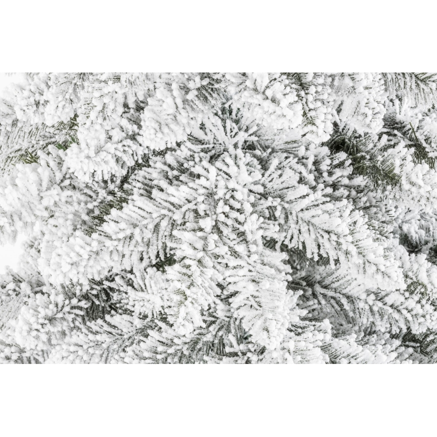 Kalėdų eglutė ant kamieno NATURAL WITH SNOW 120 cm eglė