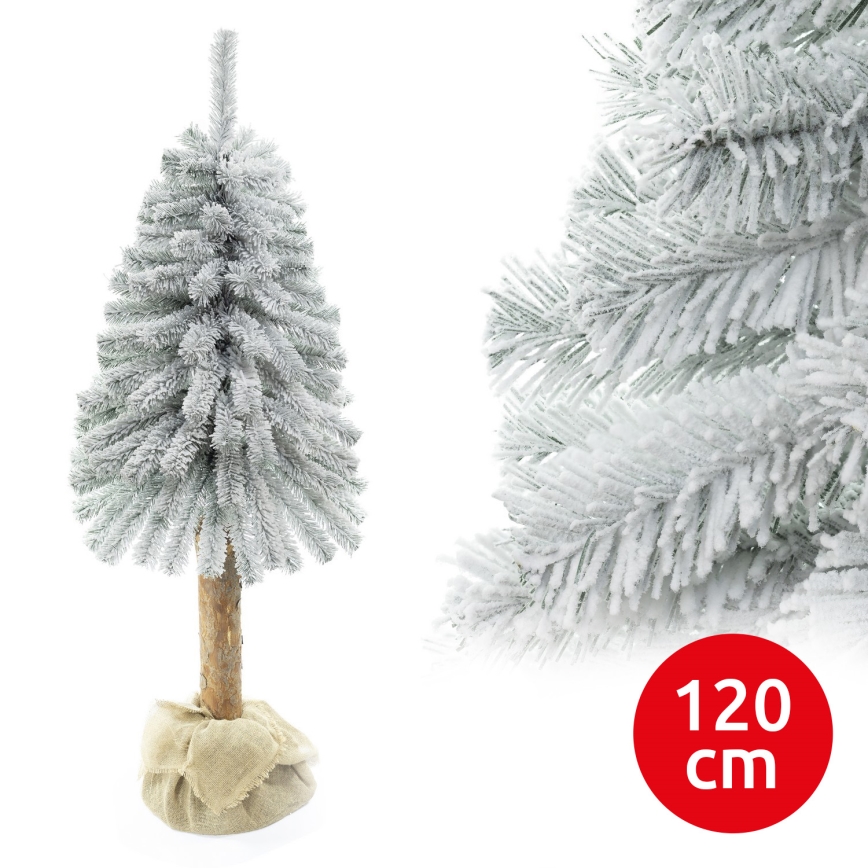 Kalėdų eglutė ant kamieno NATURAL WITH SNOW 120 cm kėnis