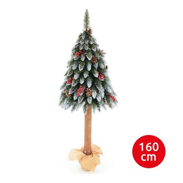 Kalėdų eglutė MEDINĖ DOVANA 160 cm eglė