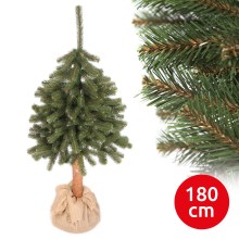 Kalėdų medelis PIN 180 cm eglutė