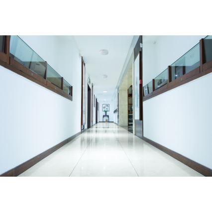 LED lubinis šviestuvas su judesio ir sutemų jutikliu FOGLER LED/12W/230V, Ø 28 cm