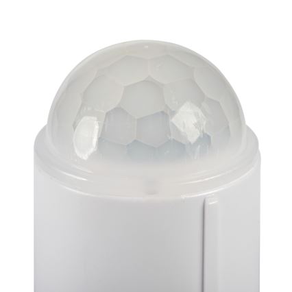 LED lubinis šviestuvas su judesio ir sutemų jutikliu FOGLER LED/24W/230V, skersmuo 38 cm