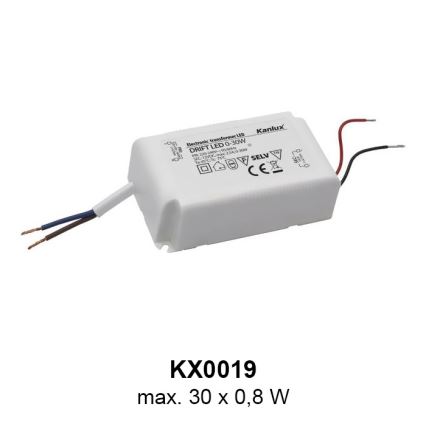 LED Naktinė lemputė  1xLED/0,8W/12V