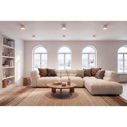 LED taškinis šviestuvas SONOR LED/12W/230V 3000/4000/5700K + LED/1,5W 2200K Ø 14 cm baltas