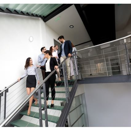 LED Lubinis/Įleidžiamas šviestuvas su judesio jutikliu 2in1 ERGA LED/17W/230V 3000/4000/6500K juoda