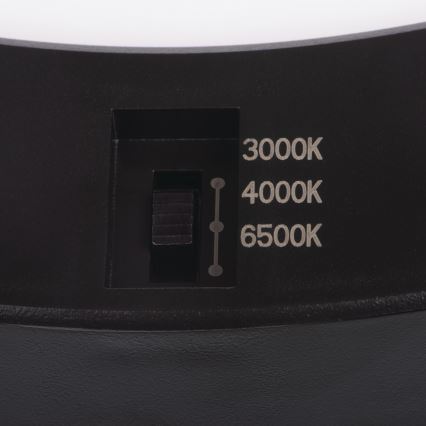 LED Lubinis/Įleidžiamas šviestuvas su judesio jutikliu 2in1 ERGA LED/17W/230V 3000/4000/6500K juoda