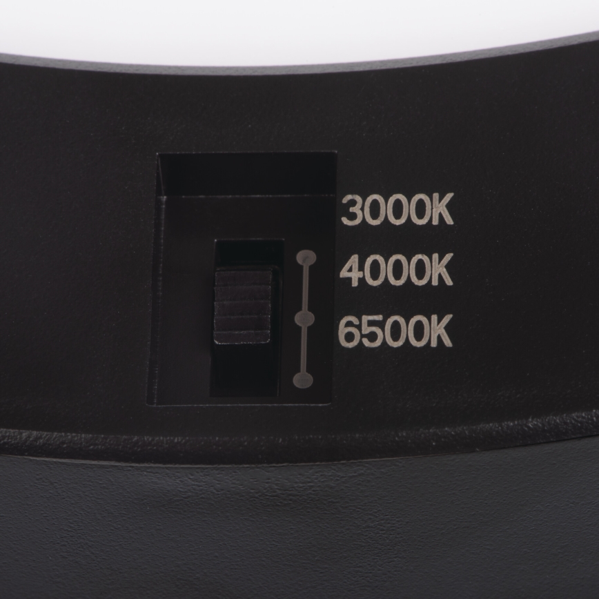 LED Lubinis/Įleidžiamas šviestuvas su judesio jutikliu 2in1 ERGA LED/17W/230V 3000/4000/6500K juoda