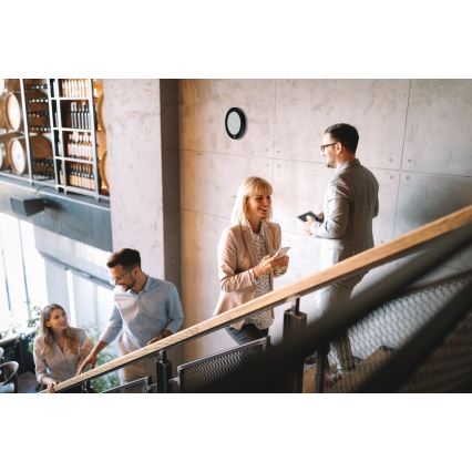 LED lubinis/įleidžiamas šviestuvas 2v1 ERGA LED/17W/230V 3000/4000/6500K juodas